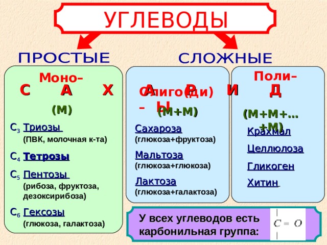 УГЛЕВОДЫ Поли–  Олиго(ди)– Моно– С А Х А Р И Д Ы (М) (М+М) (М+М+…+М) С 3  Триозы   (ПВК, молочная к-та) С 4  Тетрозы С 5  Пентозы    (рибоза, фруктоза, дезоксирибоза) С 6  Гексозы   (глюкоза, галактоза) Сахароза (глюкоза+фруктоза) Мальтоза (глюкоза+глюкоза) Лактоза (глюкоза+галактоза) Крахмал Целлюлоза Гликоген Хитин  У всех углеводов есть карбонильная группа: 