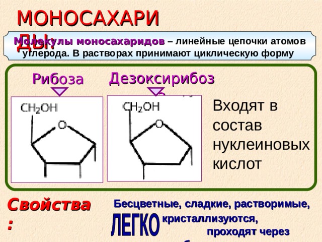 МОНОСАХАРИДЫ: Молекулы моносахаридов – линейные цепочки атомов углерода. В растворах принимают циклическую форму  Дезоксирибоза Рибоза  Входят в состав нуклеиновых кислот Свойства: Бесцветные, сладкие, растворимые,  кристаллизуются, проходят через мембраны 