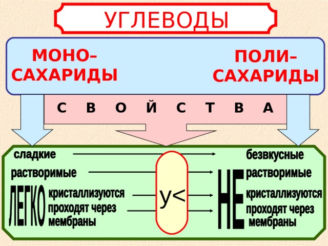 УГЛЕВОДЫ МОНО–САХАРИДЫ ПОЛИ–САХАРИДЫ С В О Й С Т В А у 