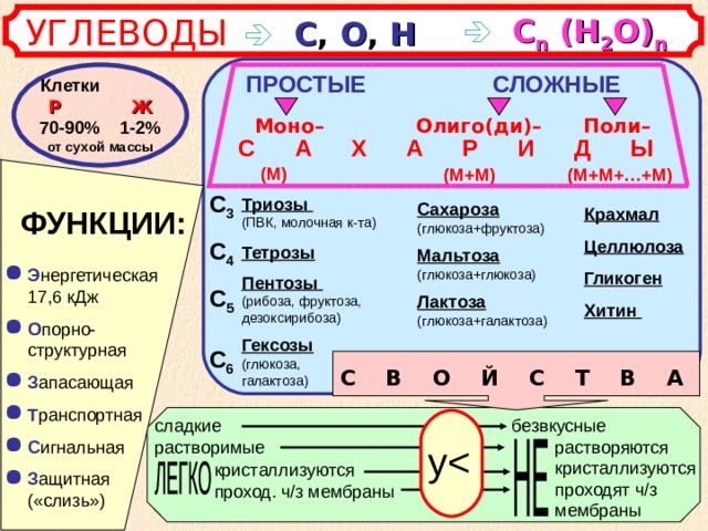 УГЛЕВОДЫ       С ,  О ,  Н   С n  (Н 2 О) n ПРОСТЫЕ СЛОЖНЫЕ Клетки Р   Ж  70-90% 1-2% от сухой массы  Поли–  Олиго(ди)– Моно– С А Х А Р И Д Ы (М) (М+М+…+М) (М+М) С 3 С 4 С 5  С 6 Триозы  (ПВК, молочная к-та) Тетрозы Пентозы  (рибоза, фруктоза, дезоксирибоза) Гексозы (глюкоза, галактоза) Сахароза (глюкоза+фруктоза) Мальтоза (глюкоза+глюкоза) Лактоза (глюкоза+галактоза) Крахмал Целлюлоза Гликоген Хитин ФУНКЦИИ: Э нергетическая 17,6 кДж О порно-структурная З апасающая Т ранспортная С игнальная З ащитная («слизь») С В О Й С Т В А безвкусные сладкие растворимые растворяются кристаллизуются проходят ч/з мембраны у кристаллизуются проход. ч/з мембраны 