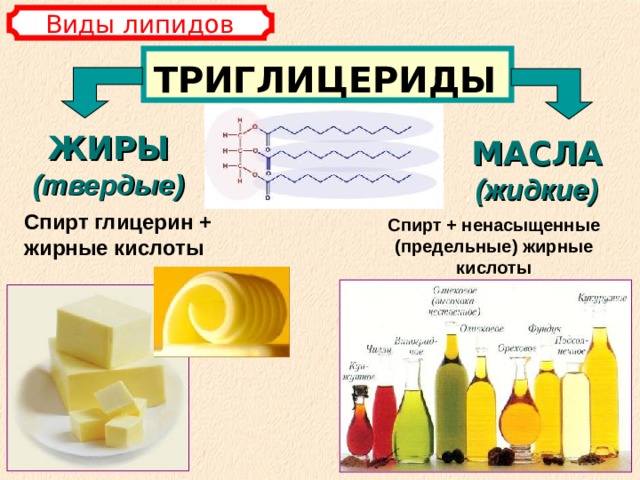 Виды липидов ТРИГЛИЦЕРИДЫ ЖИРЫ (твердые) МАСЛА  (жидкие) Спирт глицерин + жирные кислоты Спирт + ненасыщенные (предельные) жирные кислоты 
