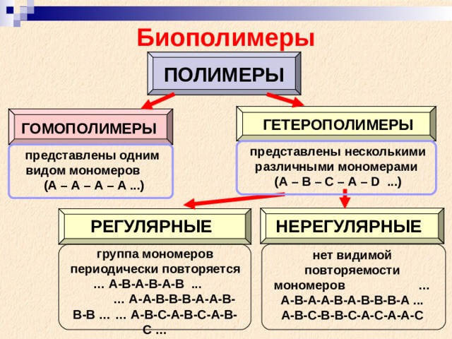 Биополимеры ПОЛИМЕРЫ ГЕТЕРОПОЛИМЕРЫ ГОМОПОЛИМЕРЫ представлены несколькими различными мономерами  (А – В – С – А – D ...) представлены одним видом мономеров  (А – А – А – А ...) РЕГУЛЯРНЫЕ НЕРЕГУЛЯРНЫЕ группа мономеров периодически повторяется  … А-В-А-В-А-В ... … А-А-В-В-В-А-А-В-В-В … … А-В-С-А-В-С-А-В-С … нет видимой повторяемости мономеров  …А-В-А-А-В-А-В-В-В-А ... А-В-С-В-В-С-А-С-А-А-С 
