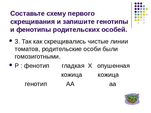 Составьте схему первого скрещивания и запишите генотипы и фенотипы родительских особей. 3. Так как скрещивались чистые линии томатов, родительские особи были гомозиготными. Р : фенотип гладкая Х опушенная  кожица кожица  генотип АА аа 