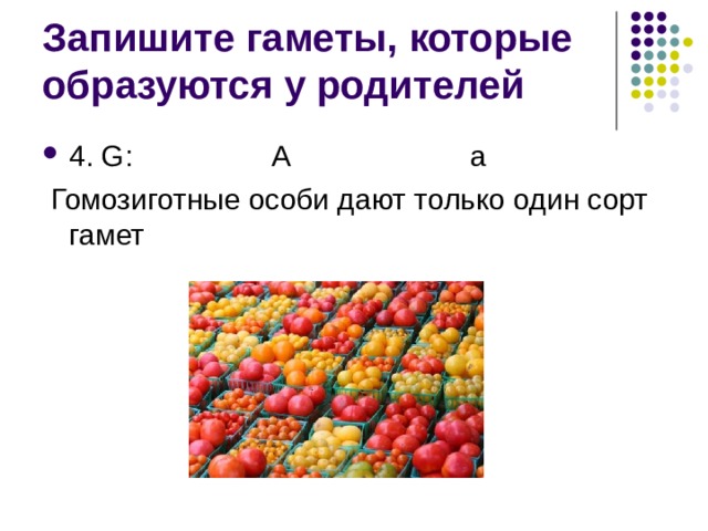 Запишите гаметы, которые образуются у родителей 4. G : А а  Гомозиготные особи дают только один сорт гамет 