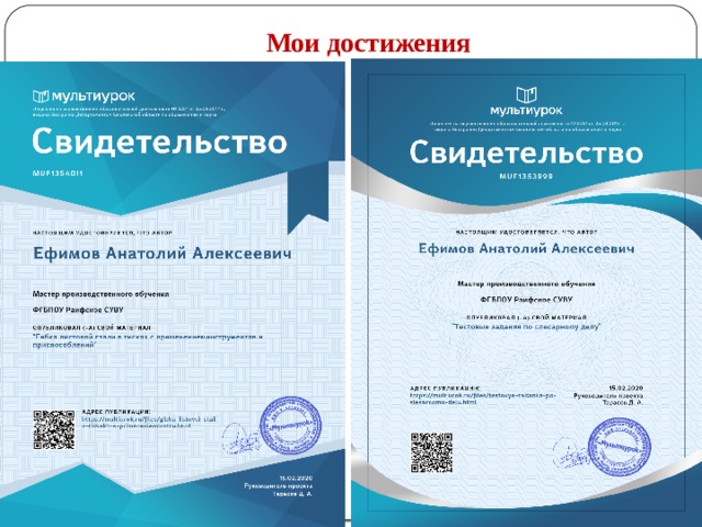 Мои достижения 