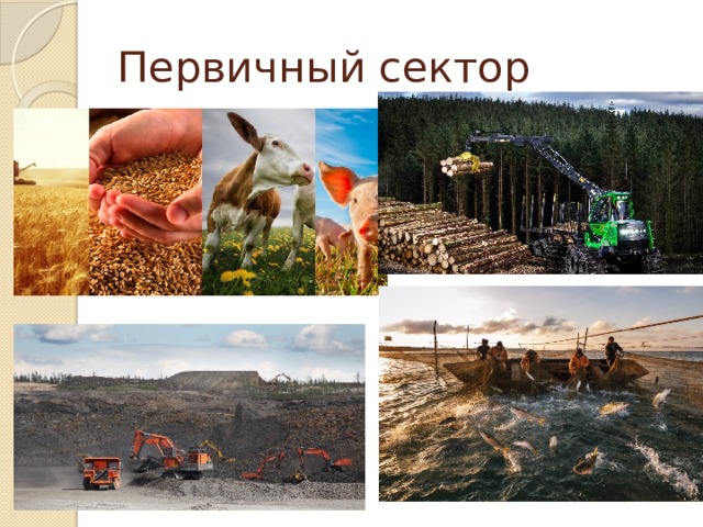 Первичный сектор 