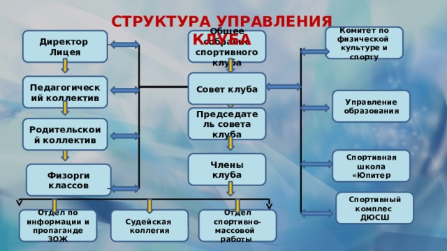 СТРУКТУРА УПРАВЛЕНИЯ КЛУБА Комитет по физической культуре и спорту Директор Лицея Общее собрание спортивного клуба Совет клуба Педагогический коллектив Управление образования Председатель совета клуба Родительскоий коллектив Спортивная школа «Юпитер Члены клуба Физорги классов Спортивный комплес ДЮСШ Судейская коллегия Отдел спортивно-массовой работы Отдел по информации и пропаганде ЗОЖ 