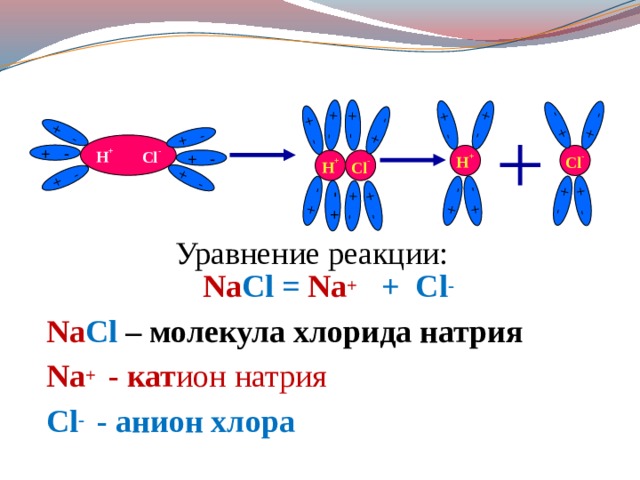 + - + - + - + - + - + - + - + - + - + - + - + - + - + - + - + - + - + - + - + - H + Cl - + - H + Cl - + - Cl - H + Уравнение реакции: Na Cl = Na + + Cl - Na Cl – молекула хлорида натрия Na + - кат ион натрия Cl - - анион хлора   