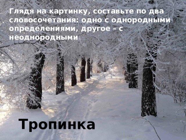 Глядя на картинку, составьте по два словосочетания: одно с однородными определениями, другое – с неоднородными Тропинка 
