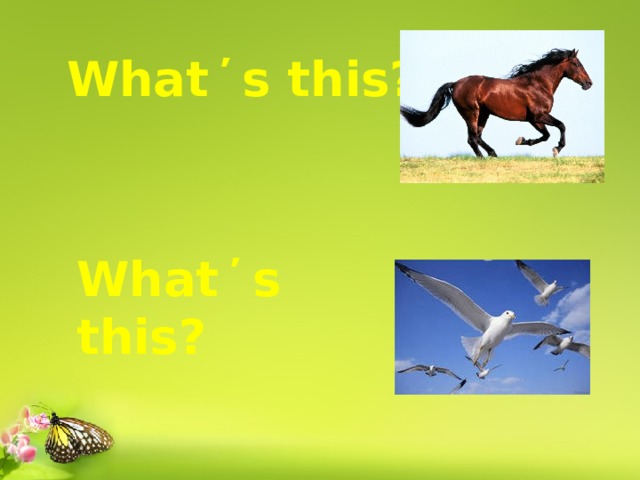 What ̕ s this? What ̕ s this? 