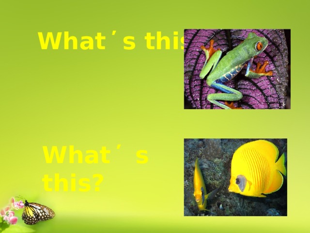 What ̕ s this? What ̕ s this? 