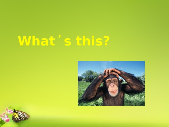 What ̕ s this? 