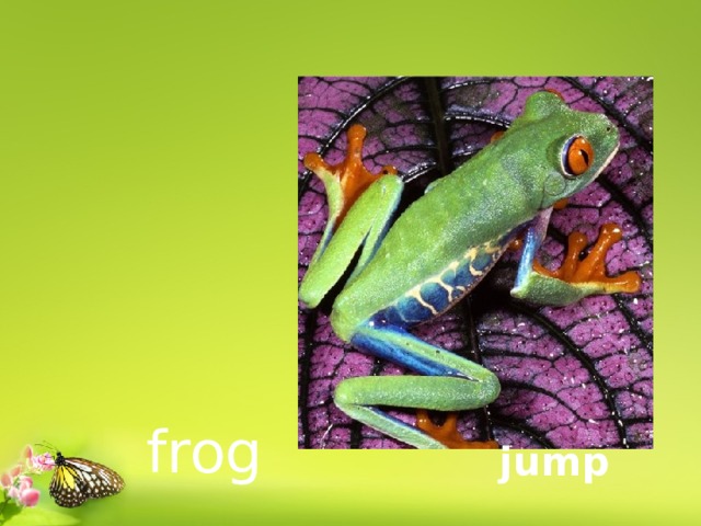  frog jump 