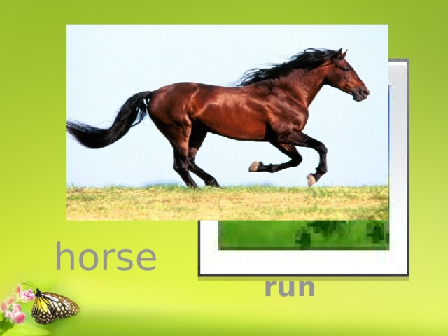 Вставка рисунка horse run 