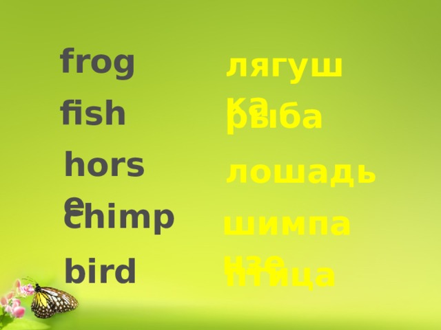 frog лягушка fish рыба horse лошадь chimp шимпанзе bird птица 