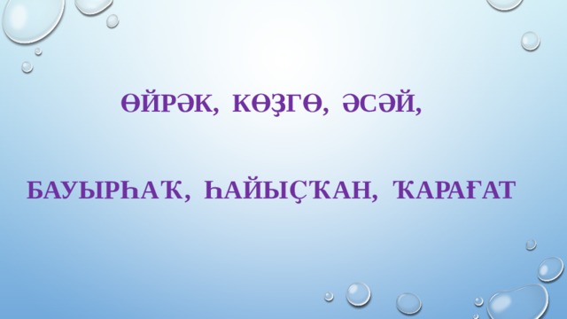Өйрәк, көҙгө, әсәй,    бауырһаҡ, һайыҫҡан, ҡарағат 