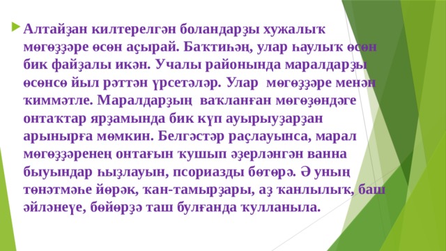 Алтайҙан килтерелгән боландарҙы хужалыҡ мөгөҙҙәре өсөн аҫырай. Баҡтиһәң, улар һаулыҡ өсөн бик файҙалы икән. Учалы районында маралдарҙы өсөнсө йыл рәттән үрсетәләр. Улар мөгөҙҙәре менән ҡиммәтле. Маралдарҙың ваҡланған мөгөҙөндәге онтаҡтар ярҙамында бик күп ауырыуҙарҙан арынырға мөмкин. Белгәстәр раҫлауынса, марал мөгөҙҙәренең онтағын ҡушып әҙерләнгән ванна быуындар һыҙлауын, псориазды бөтөрә. Ә уның төнәтмәһе йөрәк, ҡан-тамырҙары, аҙ ҡанлылыҡ, баш әйләнеүе, бөйөрҙә таш булғанда ҡулланыла. 