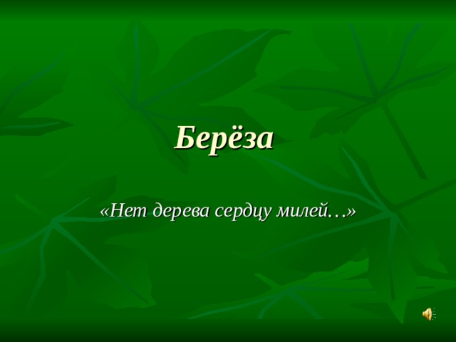 Берёза «Нет дерева сердцу милей…» 
