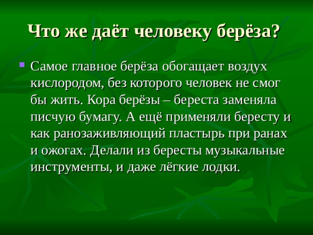 Что же даёт человеку берёза? Самое главное берёза обогащает воздух кислородом, без которого человек не смог бы жить. Кора берёзы – береста заменяла писчую бумагу. А ещё применяли бересту и как ранозаживляющий пластырь при ранах и ожогах. Делали из бересты музыкальные инструменты, и даже лёгкие лодки. 