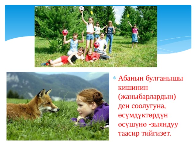 Абанын булганышы кишинин (жаныбарлардын) ден соолугуна, өсүмдүктөрдүн өсүшүнө -зыяндуу таасир тийгизет. 