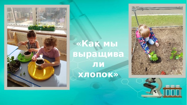 «Как мы выращивали хлопок» 