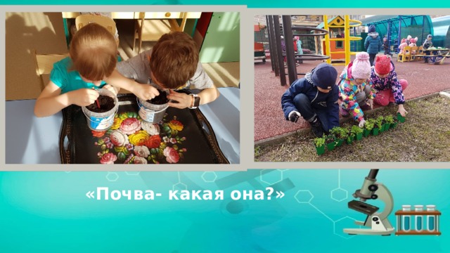 «Почва- какая она?» 