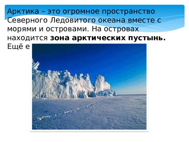 Арктика – это огромное пространство Северного Ледовитого океана вместе с морями и островами. На островах находится зона арктических пустынь. Ещё её называют ледяной зоной. 