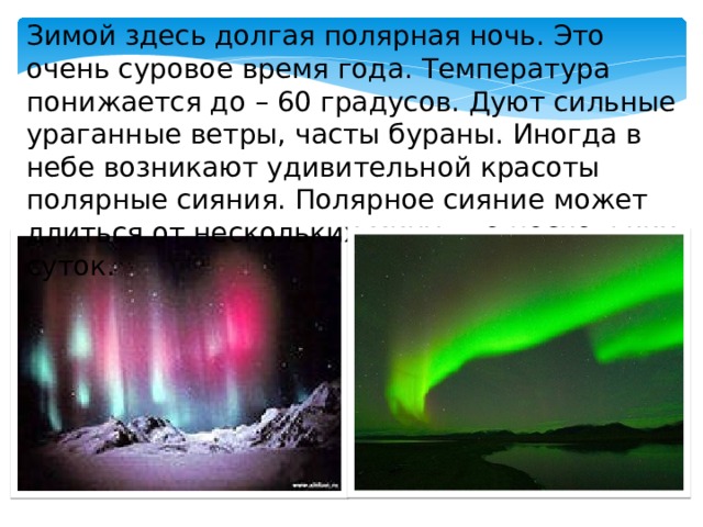 Зимой здесь долгая полярная ночь. Это очень суровое время года. Температура понижается до – 60 градусов. Дуют сильные ураганные ветры, часты бураны. Иногда в небе возникают удивительной красоты полярные сияния. Полярное сияние может длиться от нескольких минут до нескольких суток. 