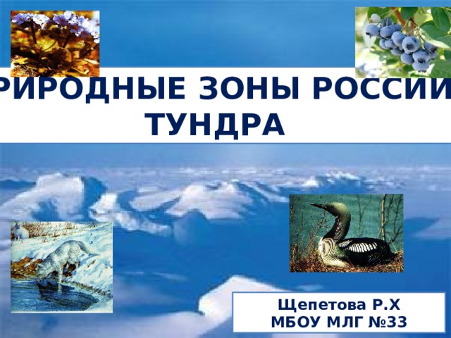 ПРИРОДНЫЕ ЗОНЫ РОССИИ: ТУНДРА  Щепетова Р.Х МБОУ МЛГ №33 