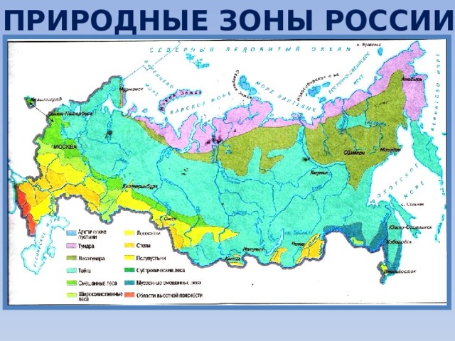 ПРИРОДНЫЕ ЗОНЫ РОССИИ 