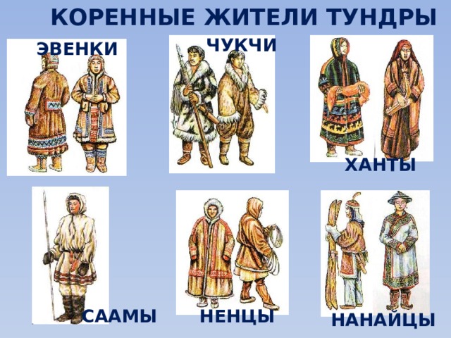 КОРЕННЫЕ ЖИТЕЛИ ТУНДРЫ ЧУКЧИ ЭВЕНКИ ХАНТЫ СААМЫ НЕНЦЫ НАНАЙЦЫ 