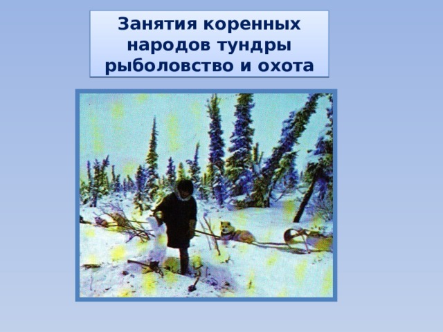 Занятия коренных народов тундры рыболовство и охота 