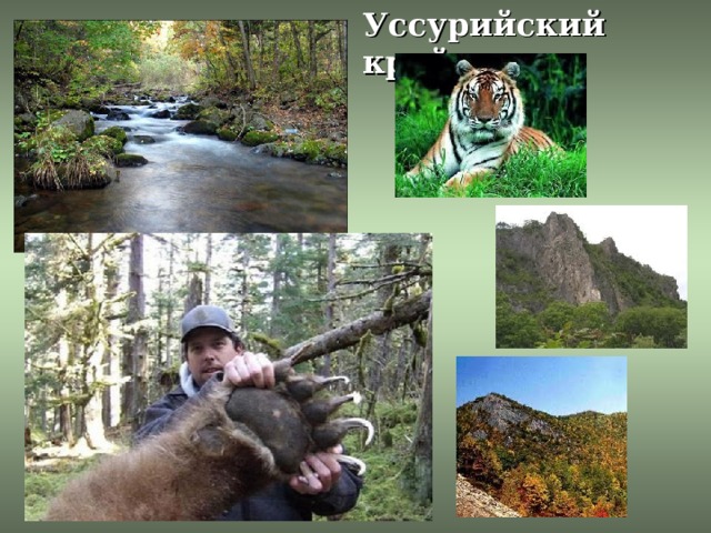 Уссурийский край 