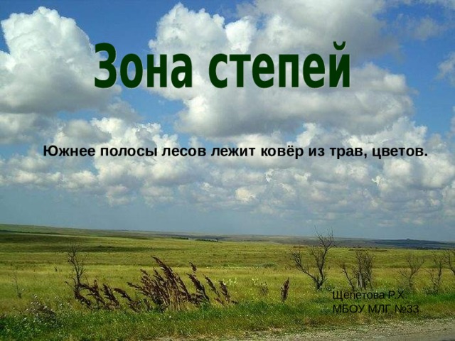 Южнее полосы лесов лежит ковёр из трав, цветов. Щепетова Р.Х.  МБОУ МЛГ №33 