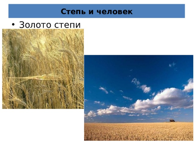 Степь и человек Золото степи 