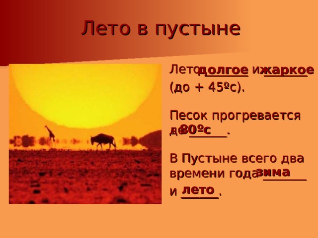 Лето в пустыне  Лето _______ и _______  (до + 45ºс).  Песок прогревается до ______.  В Пустыне всего два времени года _______  и ______. жаркое долгое + 80ºс зима лето 