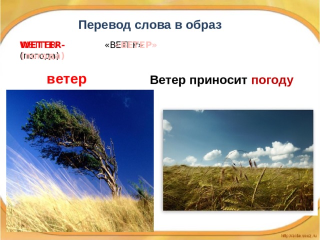Перевод слова в образ WETTER-  «ВЕТЕР»  (погода) WETTER-  «ВЕТЕР»  (погода)  ветер  Ветер приносит погоду