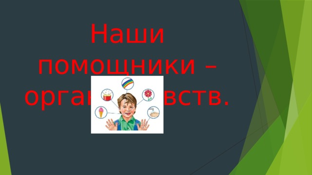 Наши помощники – органы чувств. 
