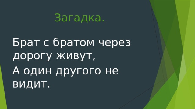 Загадка. Брат с братом через дорогу живут, А один другого не видит. 