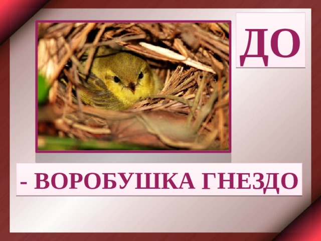 ДО - ВОРОБУШКА ГНЕЗДО 