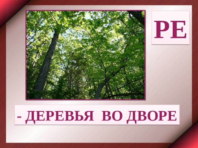 РЕ - ДЕРЕВЬЯ ВО ДВОРЕ 