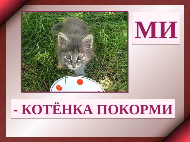 МИ - КОТЁНКА ПОКОРМИ 