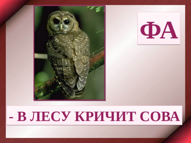 ФА - В ЛЕСУ КРИЧИТ СОВА 