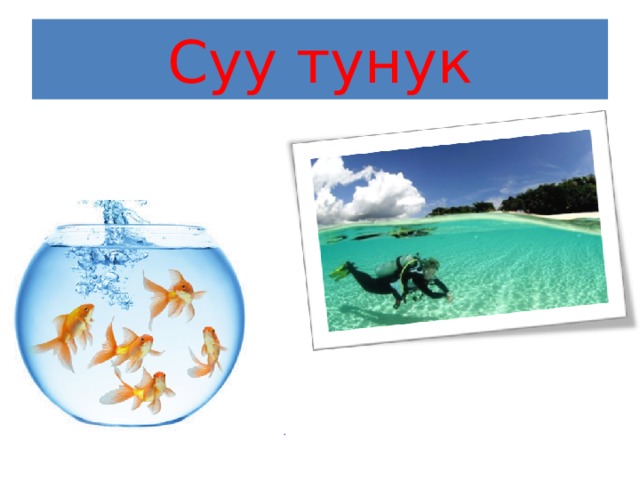 Суу тунук 