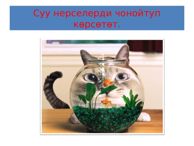 Суу нерселерди чонойтуп көрсөтөт. 