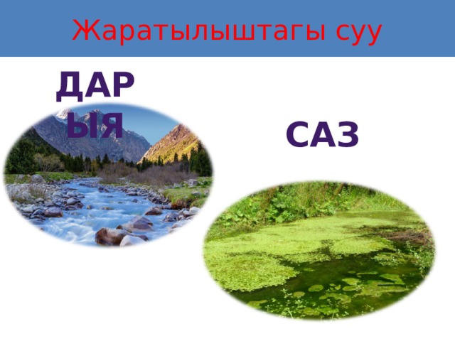 Жаратылыштагы суу дарыя саз 
