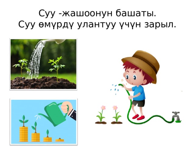 Суу -жашоонун башаты.  Суу өмүрдү улантуу үчүн зарыл. 