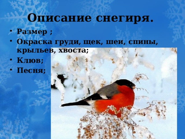 Описание снегиря. Размер ; Окраска груди,  щек, шеи, спины, крыльев, хвоста; Клюв; Песня; 