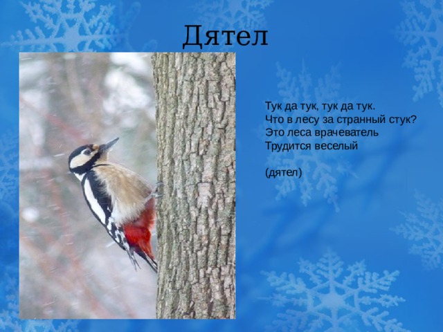 Дятел Тук да тук, тук да тук. Что в лесу за странный стук? Это леса врачеватель Трудится веселый (дятел) 