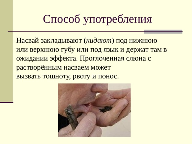 Способ употребления Насвай закладывают ( кидают ) под нижнюю или верхнюю губу или под язык и держат там в ожидании эффекта. Проглоченная слюна с растворённым насваем может вызвать тошноту, рвоту и понос. Голуби мира  